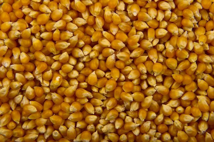 как сделать попкорн из кукурузы