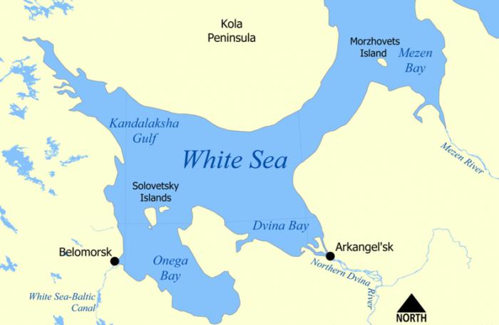 глубина белого моря