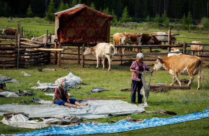 арбитражный суд республики тыва