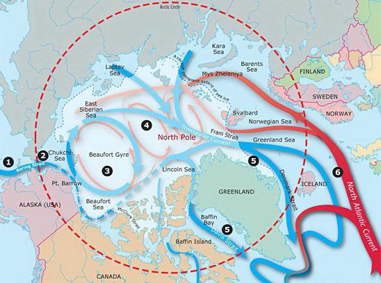 течения северного ледовитого океана