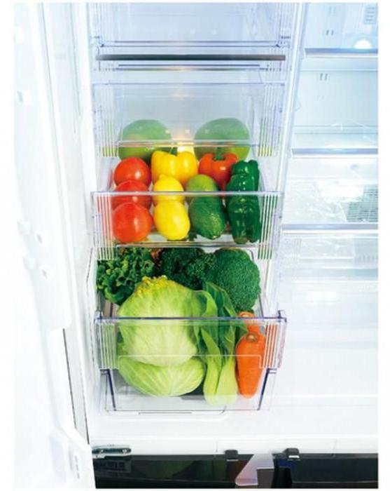 Холодильник с шоковой заморозкой для дома 