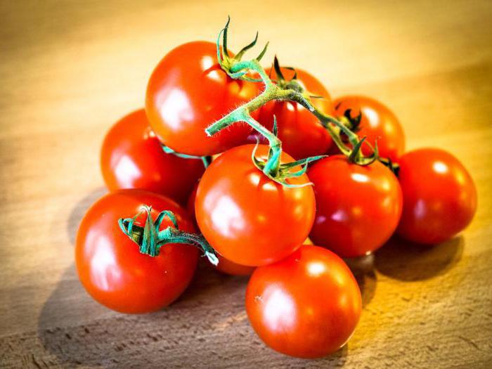 Какие томаты сажать в теплицу 