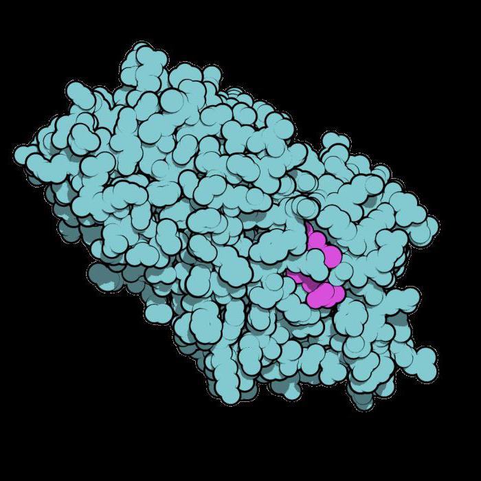 What simple organic compounds make proteins