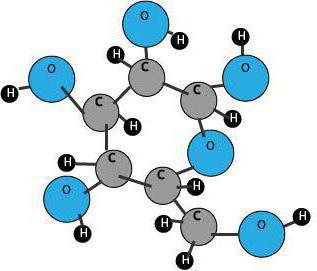 What chemical compounds are called carbohydrates