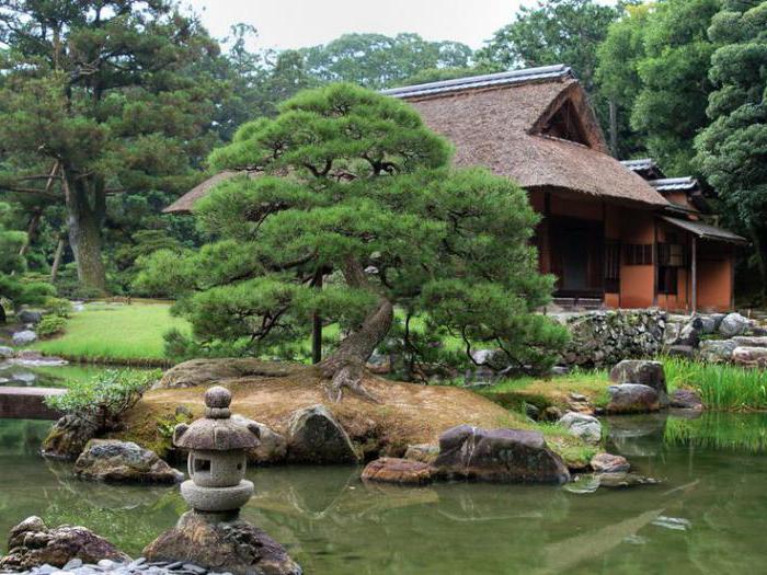 Оформление сада в японском стиле 