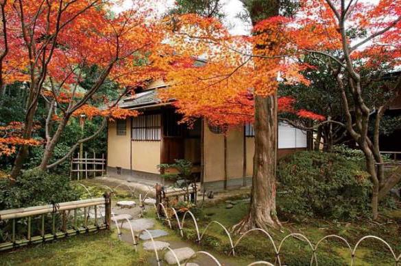 Мини сад в японском стиле