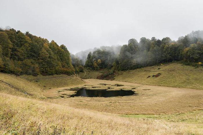 Почвы Краснодарский край 