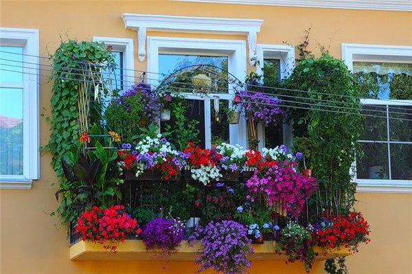цветы на балконе фото