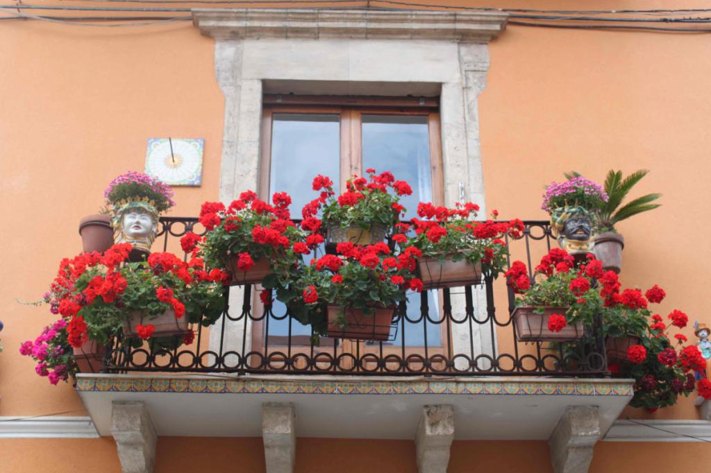 сажаем цветы на балконе
