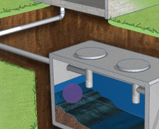 bacteria for cesspools of toilet septic tanks cleaning how to choose