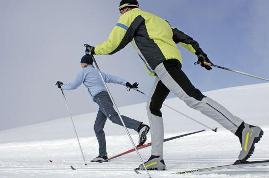 длина беговых лыж