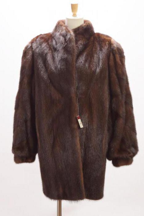 wild mink coat photo