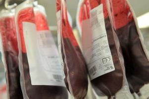 процедура сдачи крови на донорство