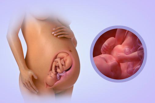 38 недель беременности ребенок активно шевелится и тянет низ живота