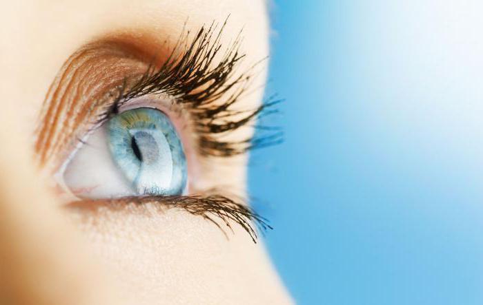 eye diseases rossolimo