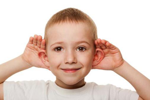 методика развития речи в дошкольном возрасте 