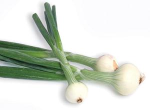 what vitamin in onion and garlic