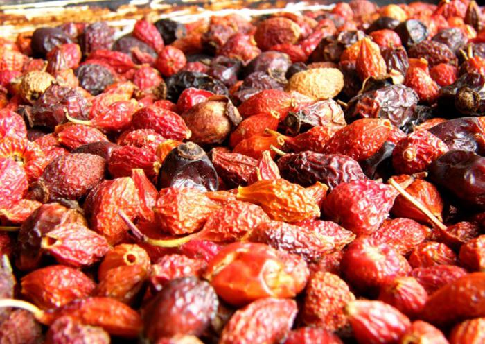 Picking forest berries