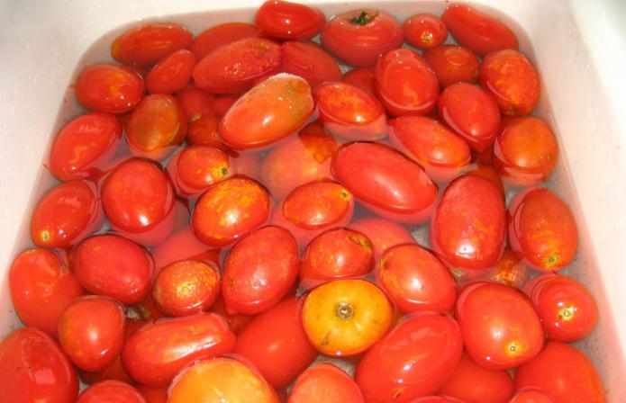 как сохранить помидоры свежими