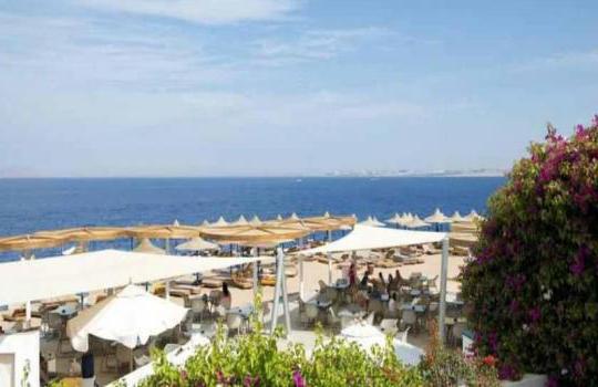 otium hotel aloha sharm 4 шарм-эль-шейх