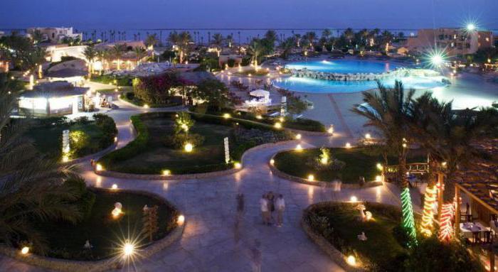 elphistone resort marsa alam отзывы фото