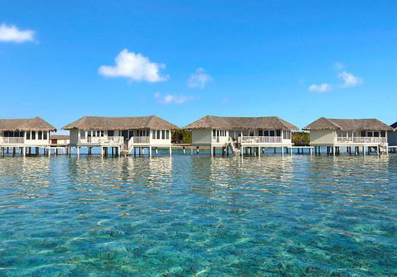 cinnamon dhonveli maldives 4 reviews