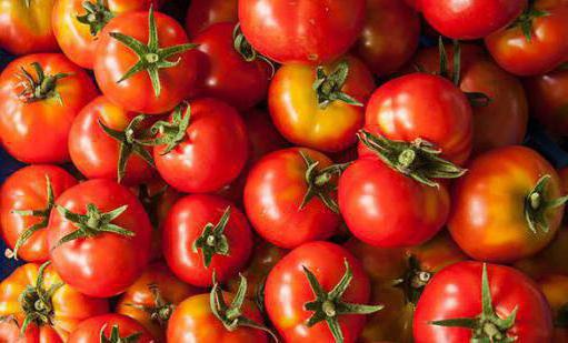 tomatoes red arrow reviews