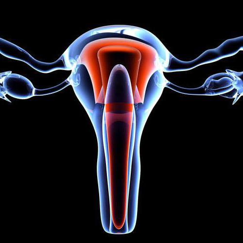 causes of cysts on the cervix