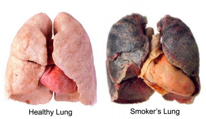 рак и курение