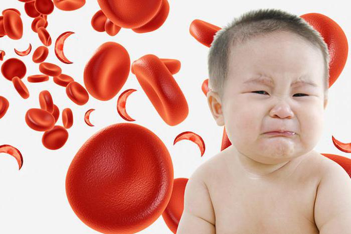 Гомеопатия для повышения гемоглобина в крови thumbnail