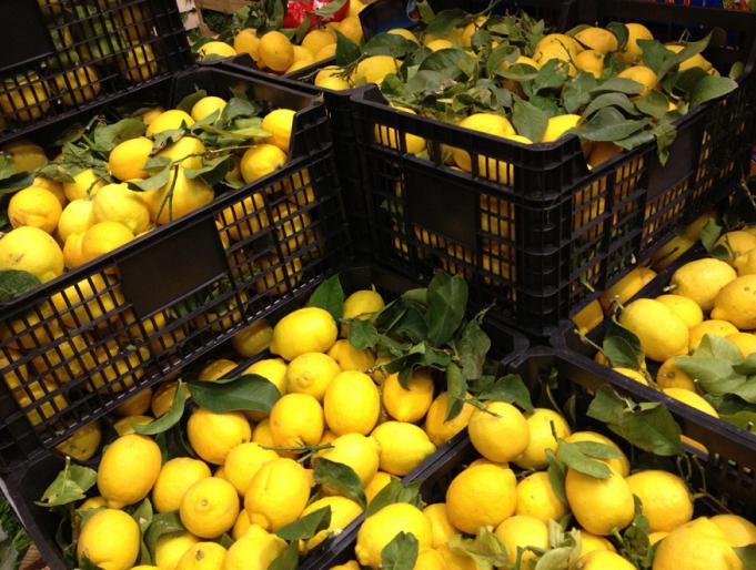  к чему снится много лимонов 