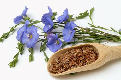 linseed oil benefits and properties application and treatment