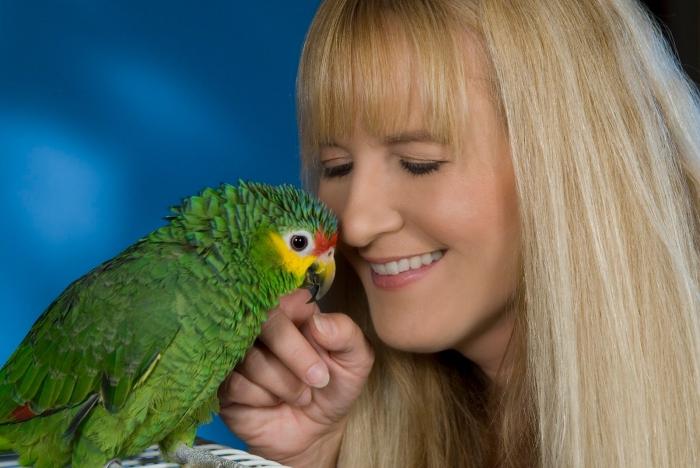 как научить попугае говорить