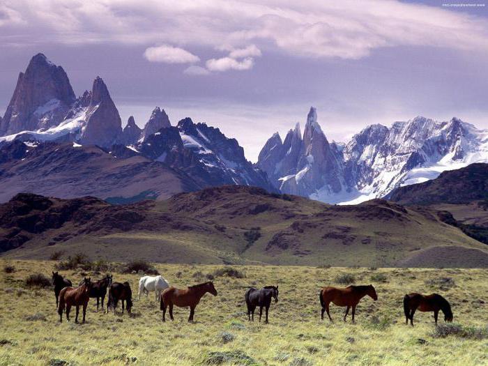 Special Issue Patagonia