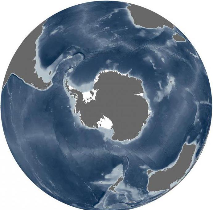 где находится Арктика и Антарктика