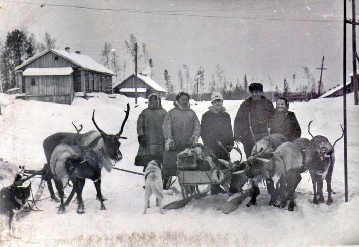 языки народов пермского края