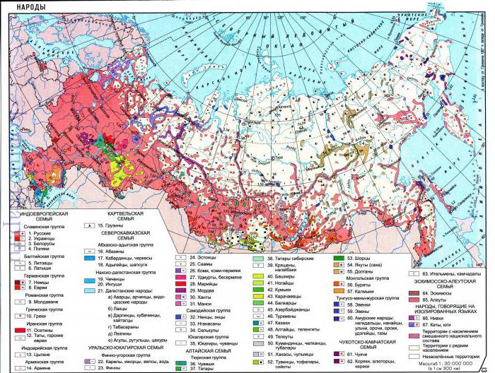 Сколько народов проживает в России? Карта народов России
