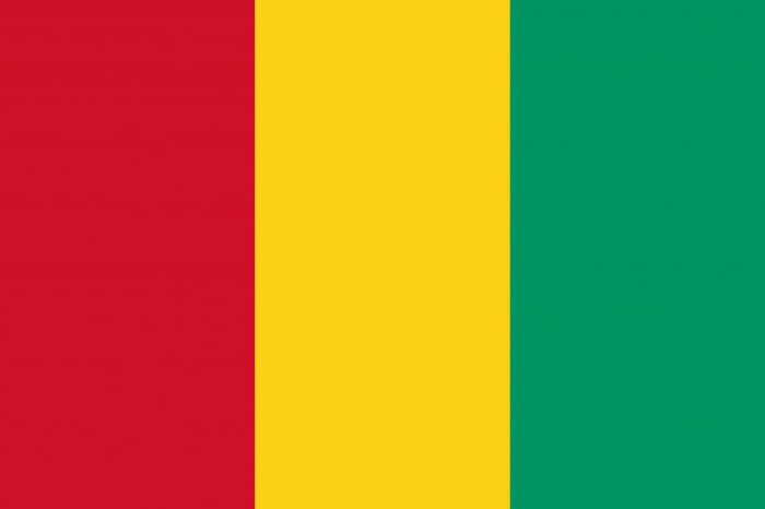 Guinea flag photo