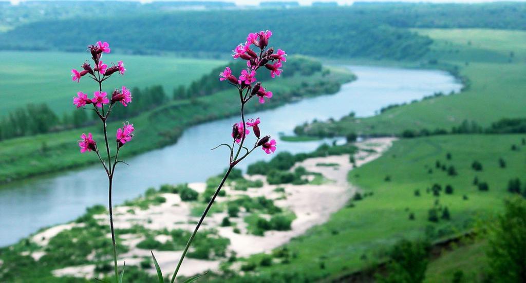 Donskoy Natural Park Description