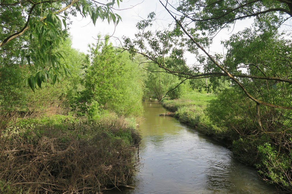 Bitza River floodplain