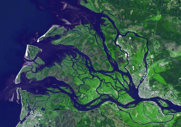 устье реки Северная Двина