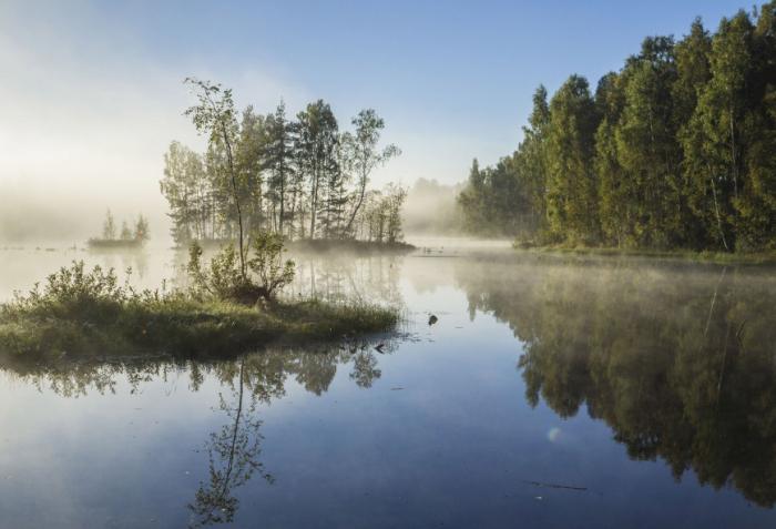 охрана природы Ленинградской области