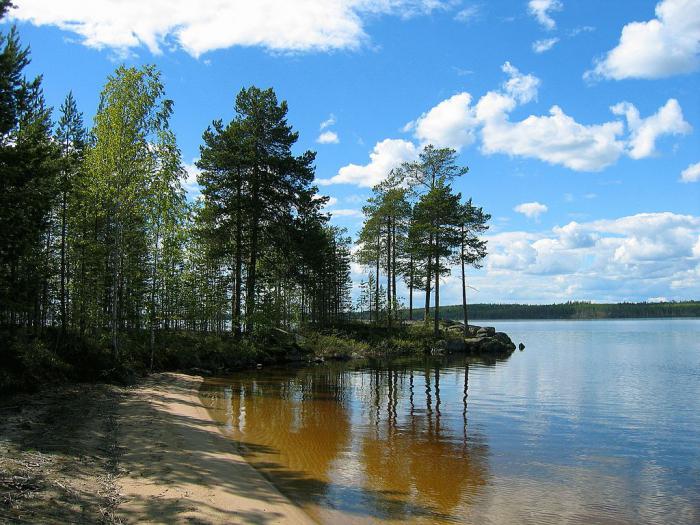 природа Ленинградской области