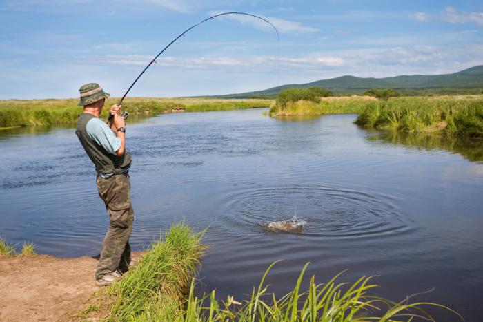 Mologa river fishing