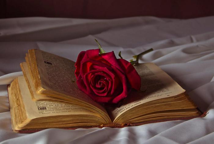 романтизм как литературное направление