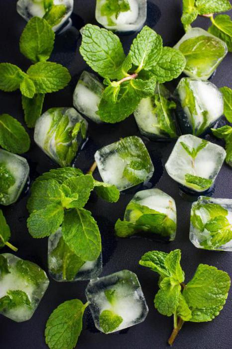 how to grow peppermint at home