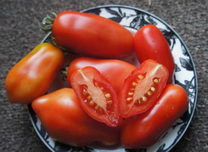 дамские пальчики томат
