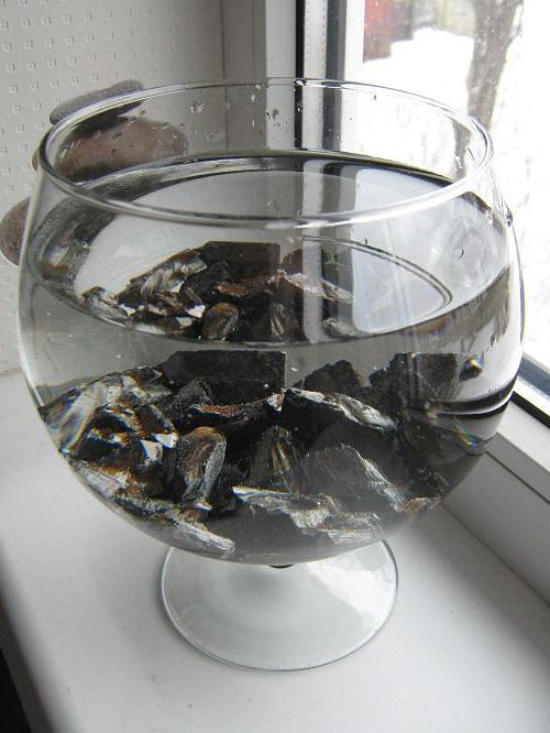 shungite water purification properties