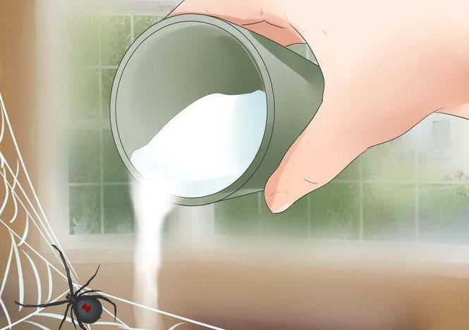 как избавиться от пауков в доме