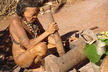 племена на реке амазонка